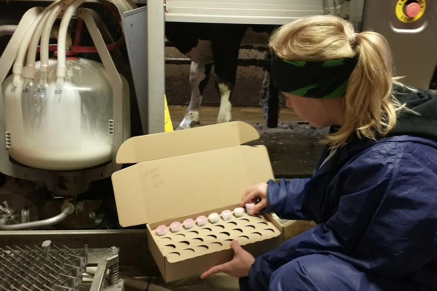 ProAgrian asiantuntija ottamassa tuotosseurannan naytteita robotilta