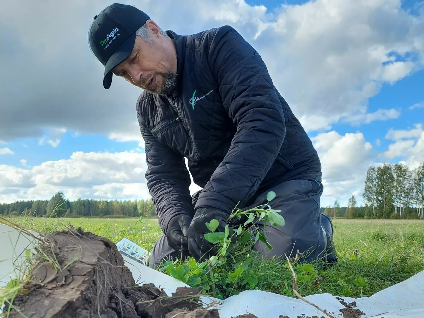ProAgrian asiantuntija pellolla tutkimassa kuoppatestia