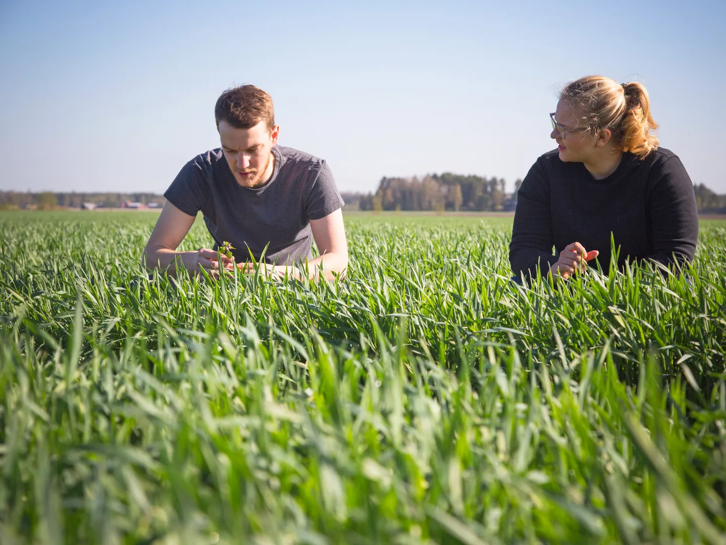 Asiantuntijat pellolla