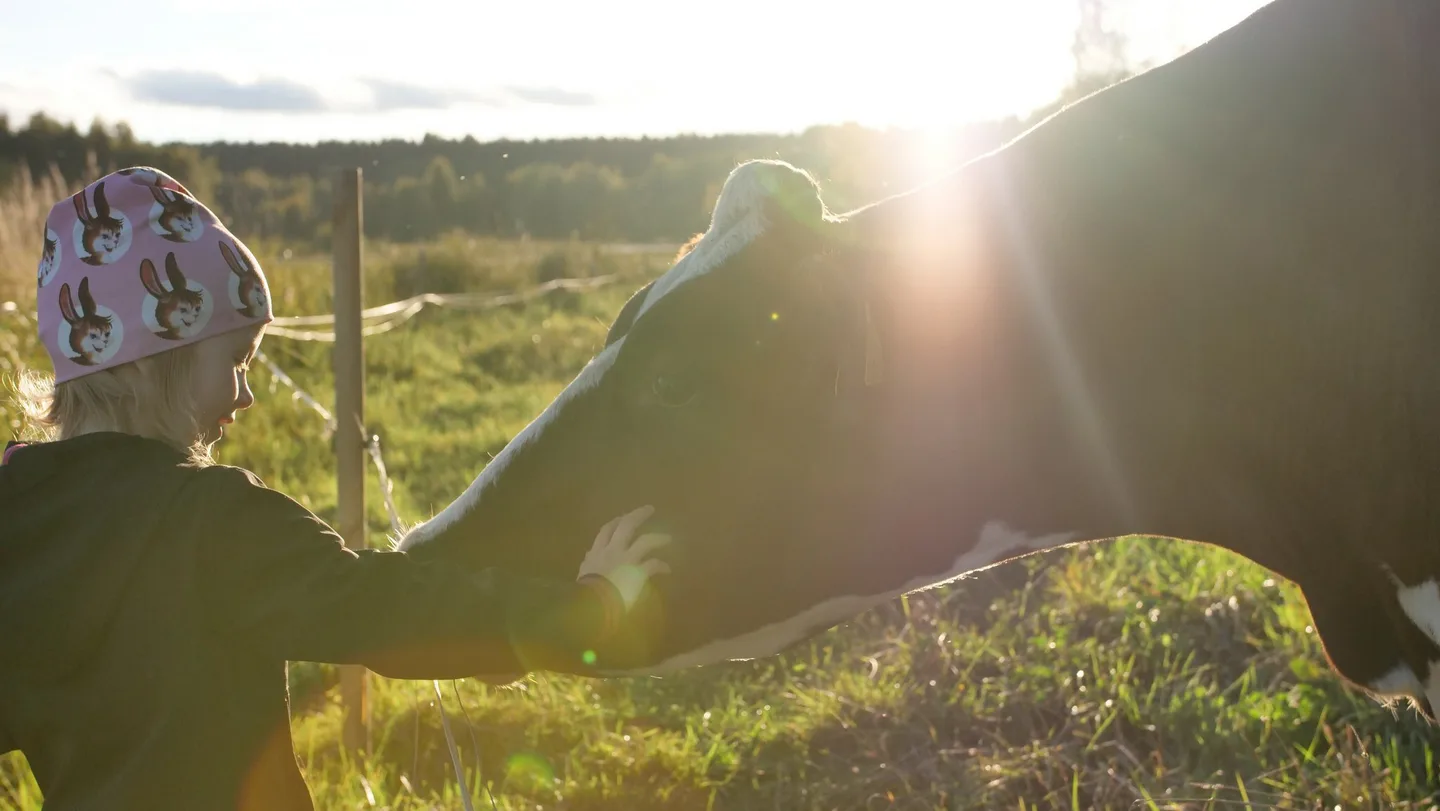 Lehma ja lapsi Sonja Kankaanpaa