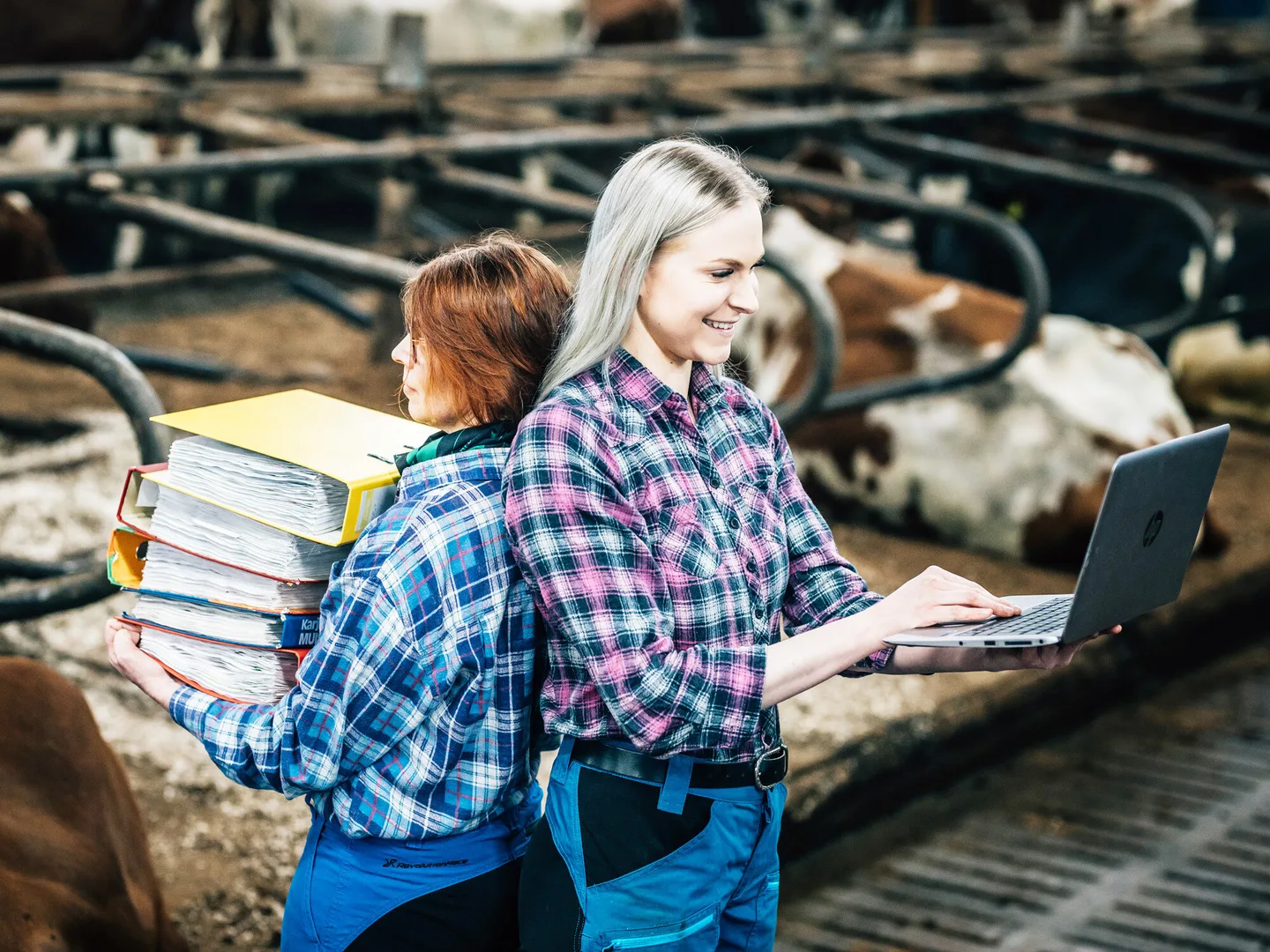 Asiantuntijoita navetassa tietokoneen kanssa