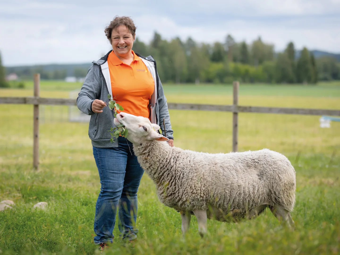 Lammas ja asiantuntija