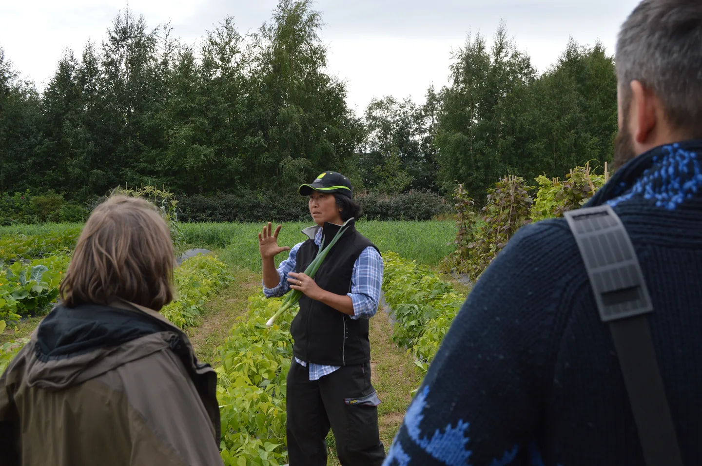 Climatefood Hanh Roknas Tradgard