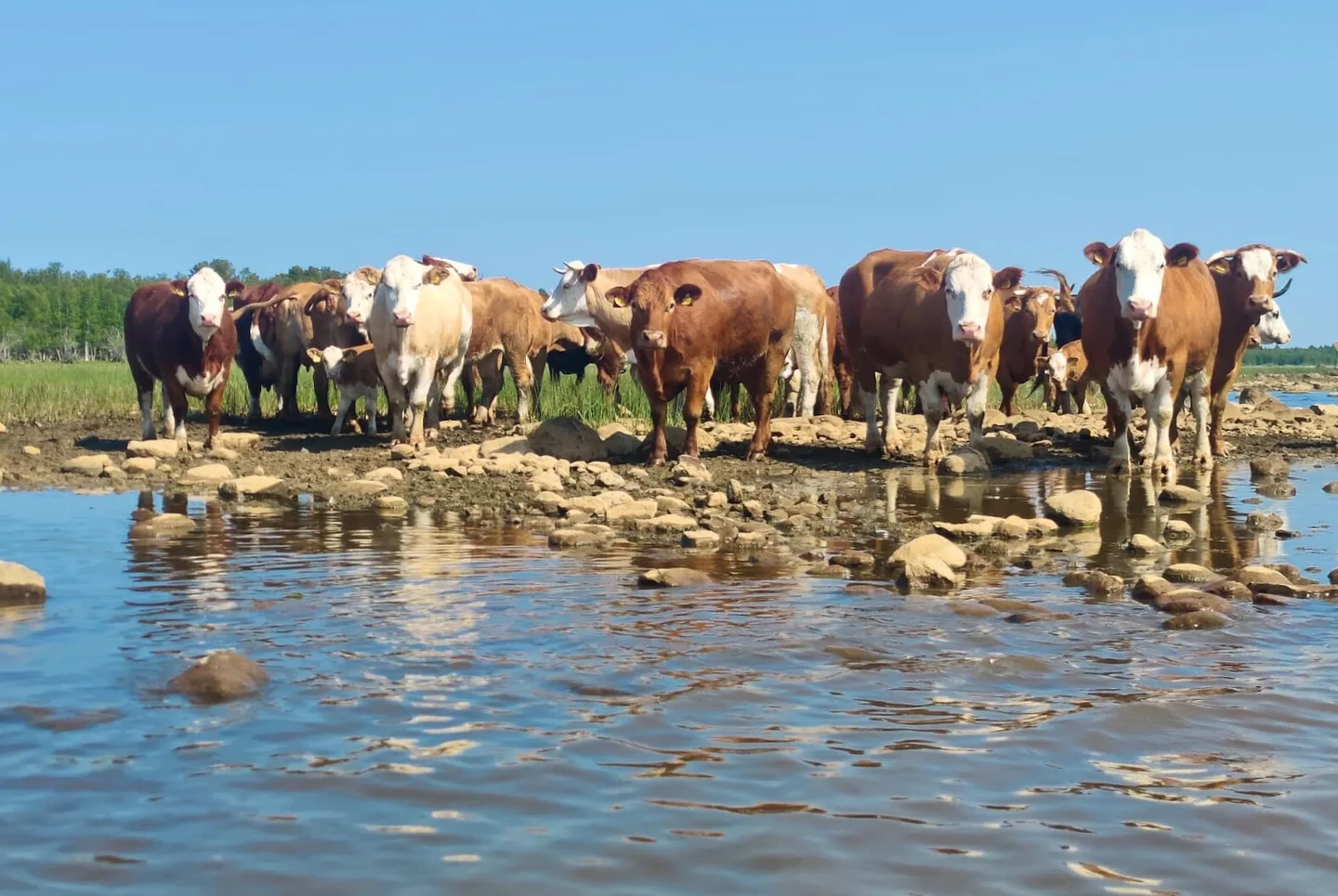 Rannalla kujalan tila