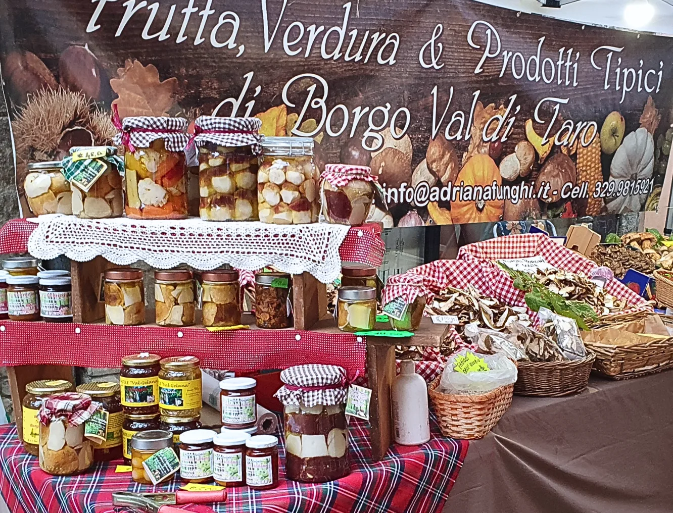 Tuoreita kuivattuja ja sailottyja herkkutatteja toripodassa rajattu satu tietari