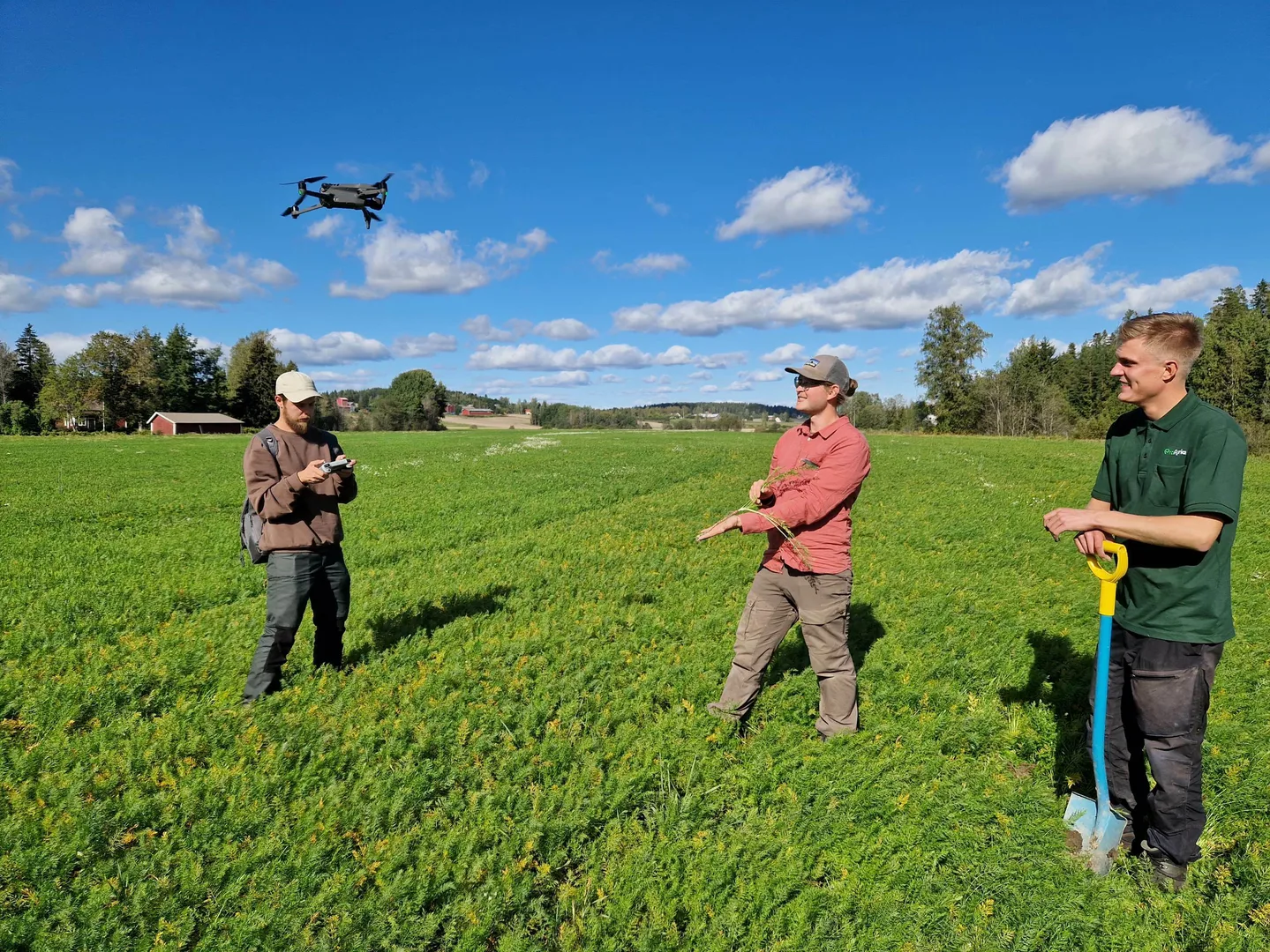 Viljelijä ja asiantuntija kuminapellolla, jossa heitä kuvataan drone-kameralla.