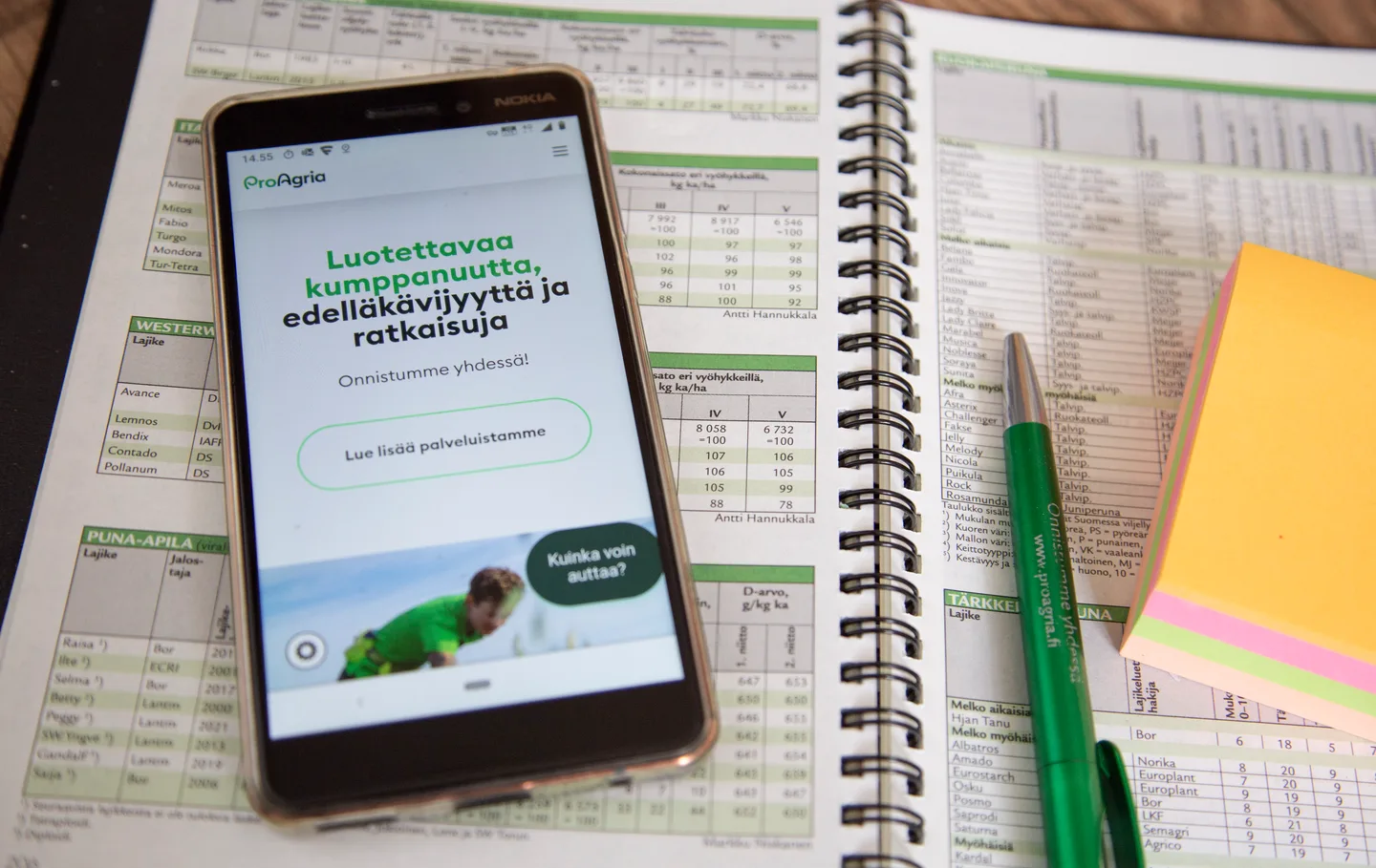 Sivu 6 sos ehdollisuus essi jokela 1