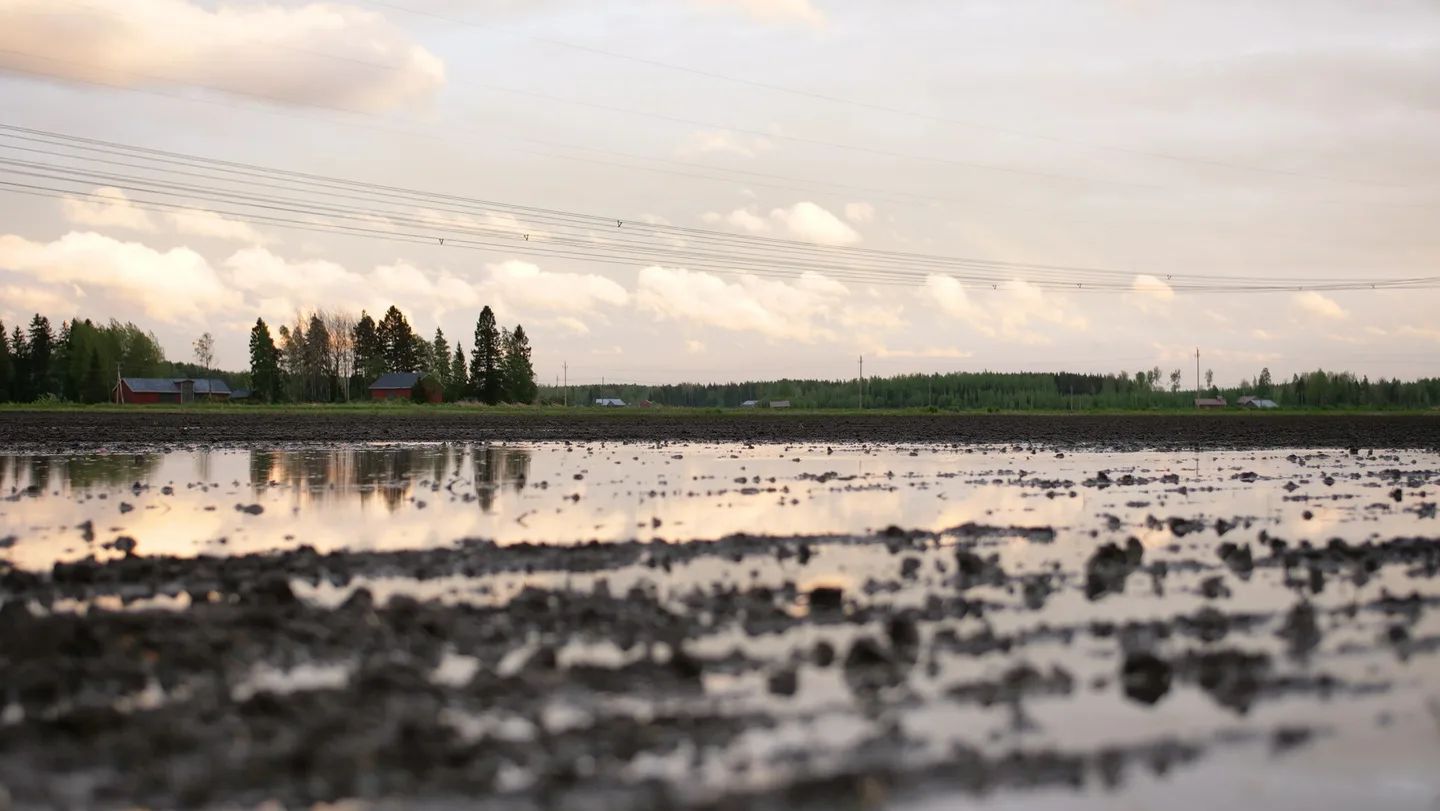 Tage Stam vetta pellolla 2 21