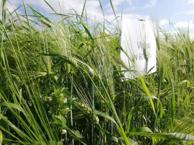 Tehoa pohjoiseen luomuun kansikuva