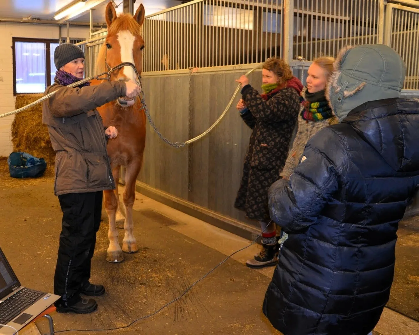 Tiina kouluttaa editoitu