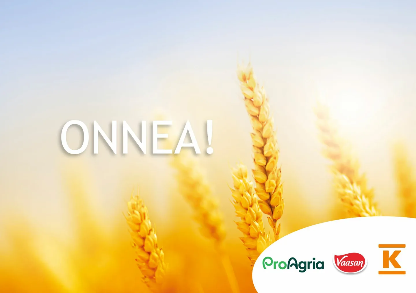 Tuottajalle kiitos Onnea kuvanettisivu