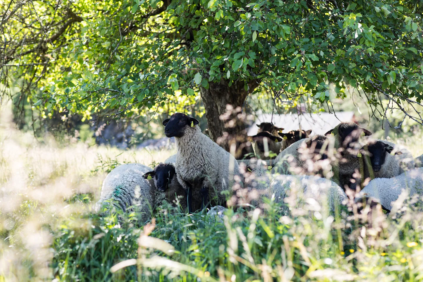 Valokuva Jaska Poikonen