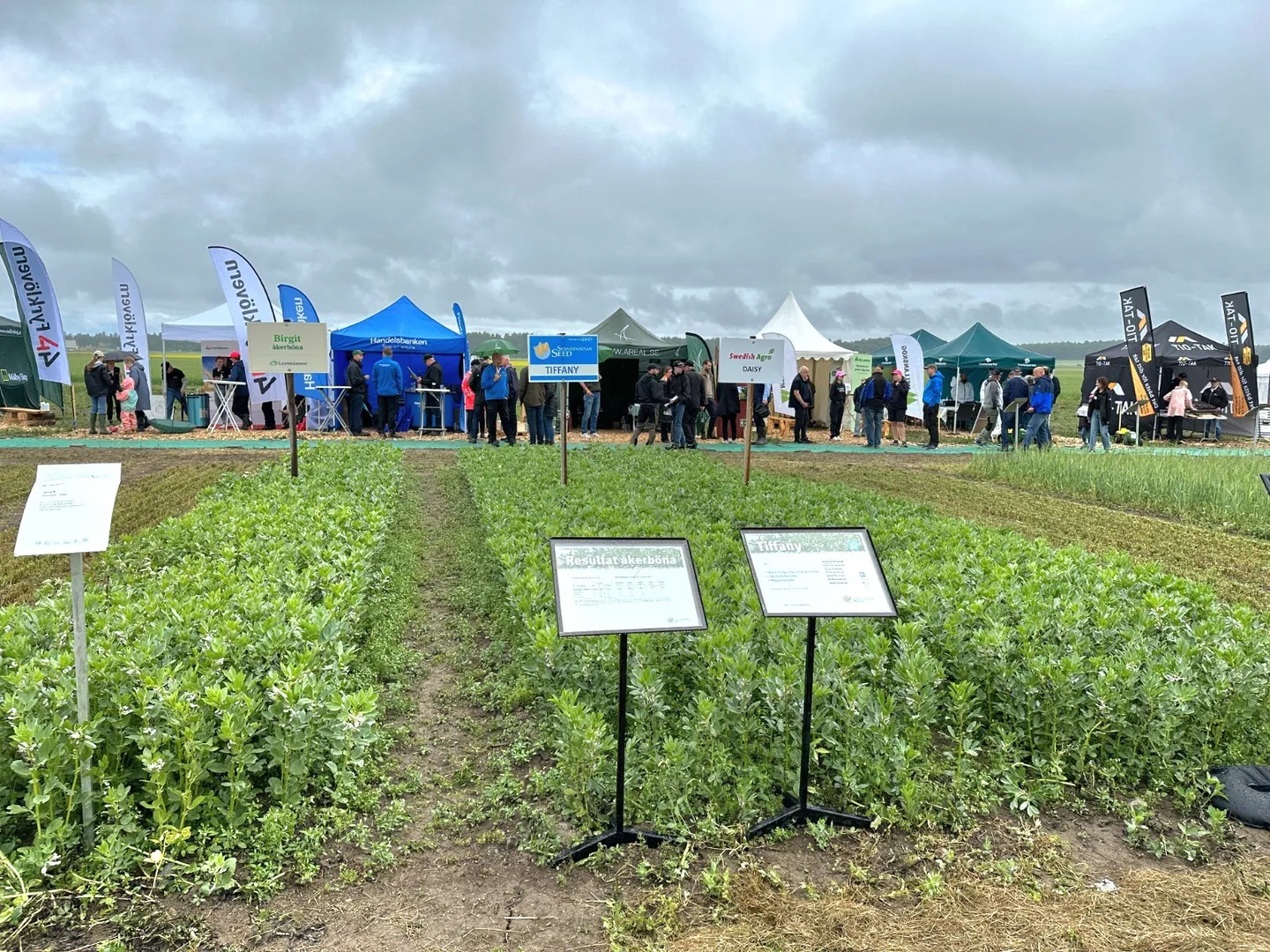 Ace94ad7d3a3def72106760e0071ad74