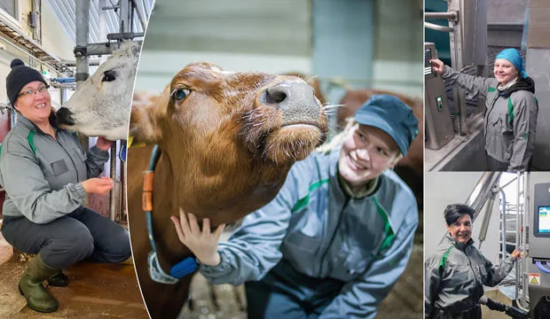 Amskuvamarraskuuuutinennetti