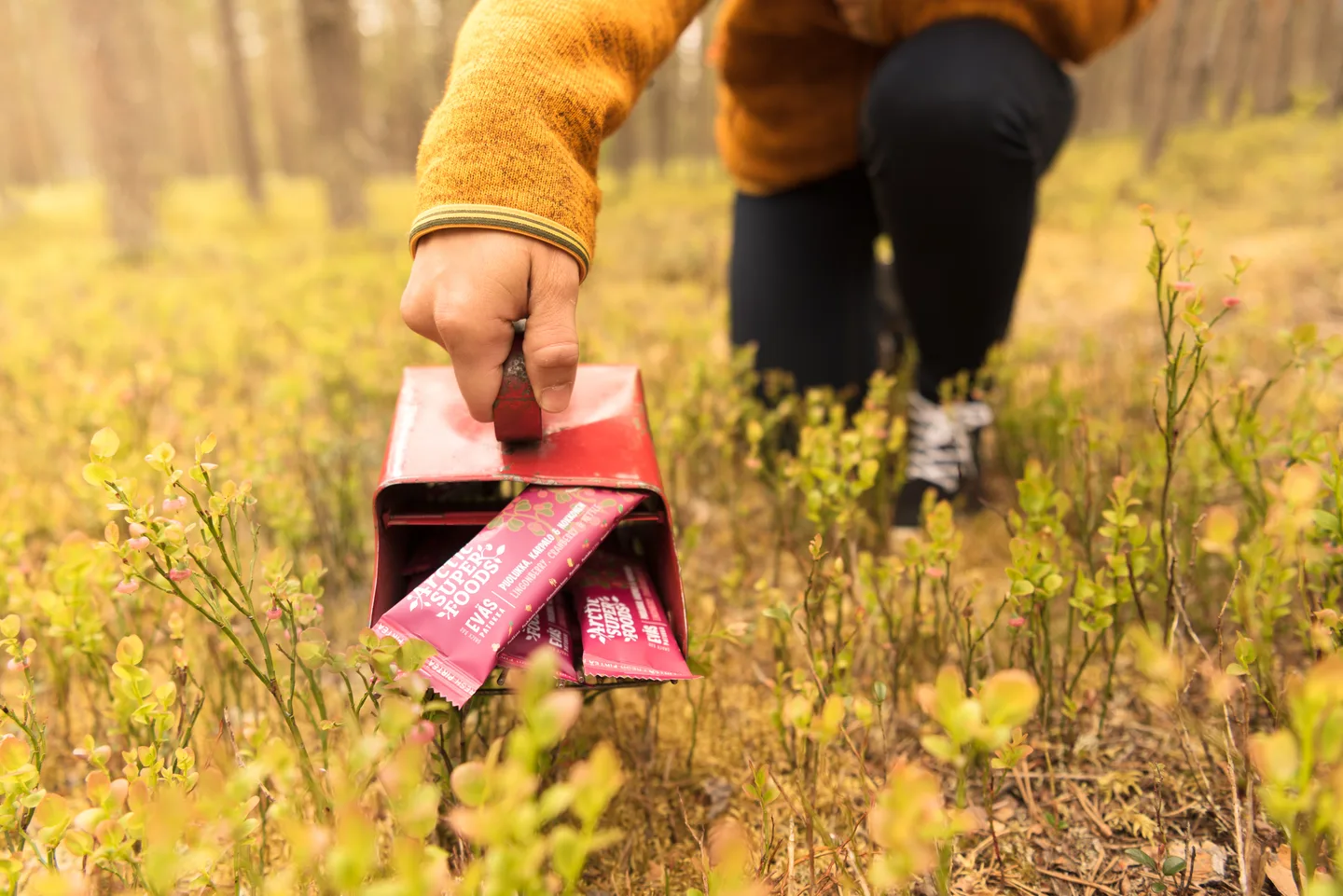 Kuva: Arctic Forest Foods Oy