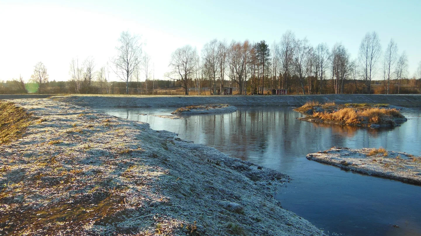 Kuva. Riikka Asunmaa