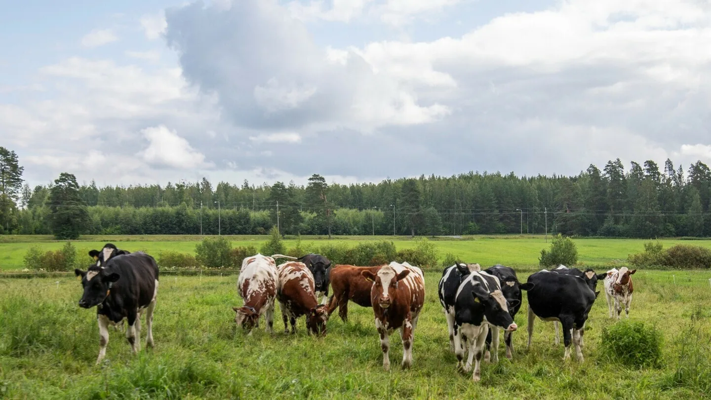 B963fef0b776f1901fad263d7447c5cc