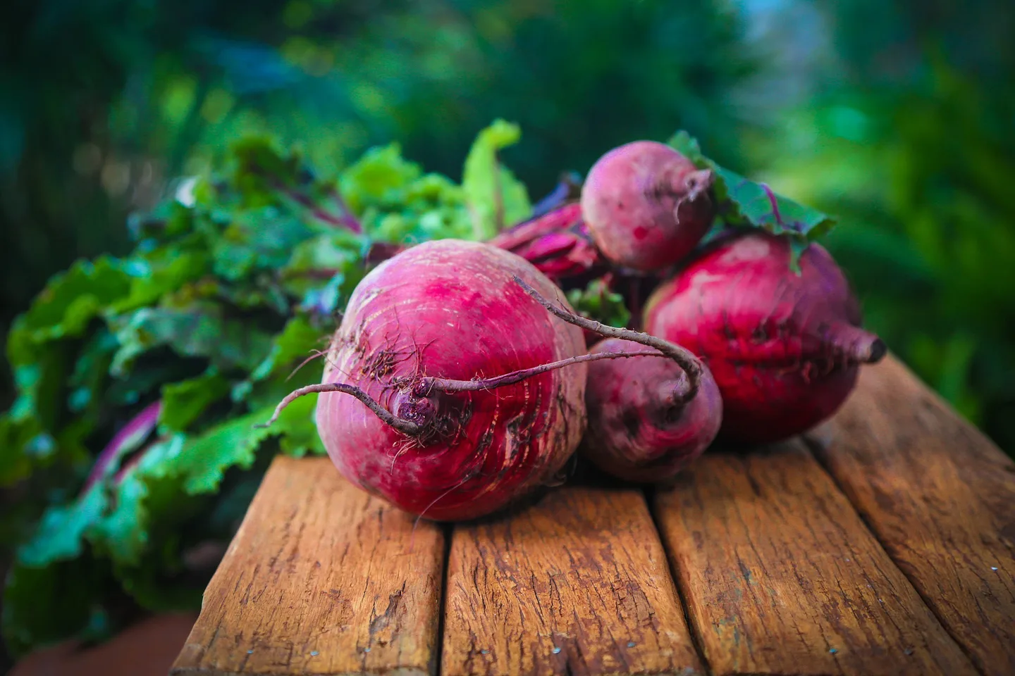 Beetroot 687251 1920 0