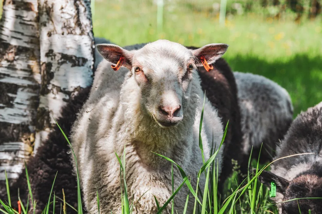 Bf5310553feee42e4d51561aa922d04b