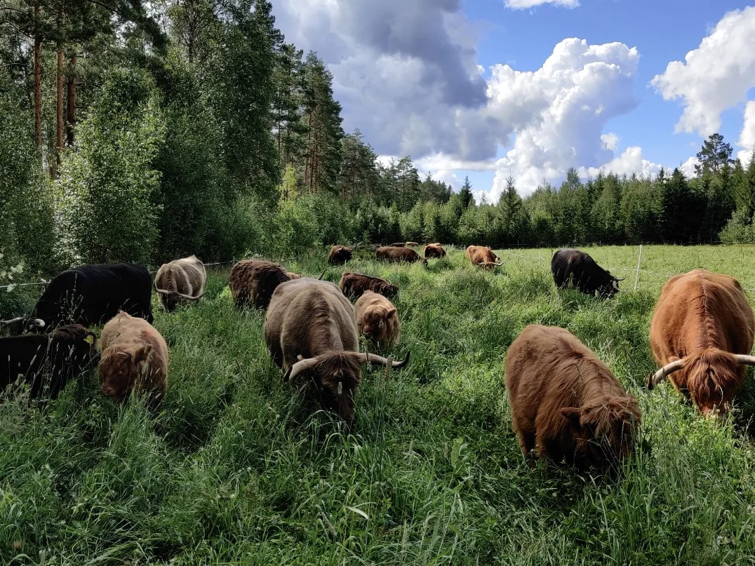 Bffedbc61c5d7d08bdefe891e90d9e0d