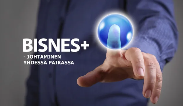 Bisnespluskuvatekstillaartikkelinetti