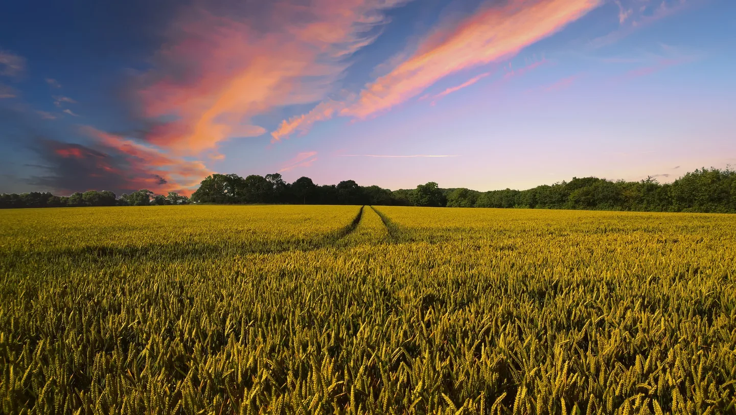 Countryside 2326787 1920