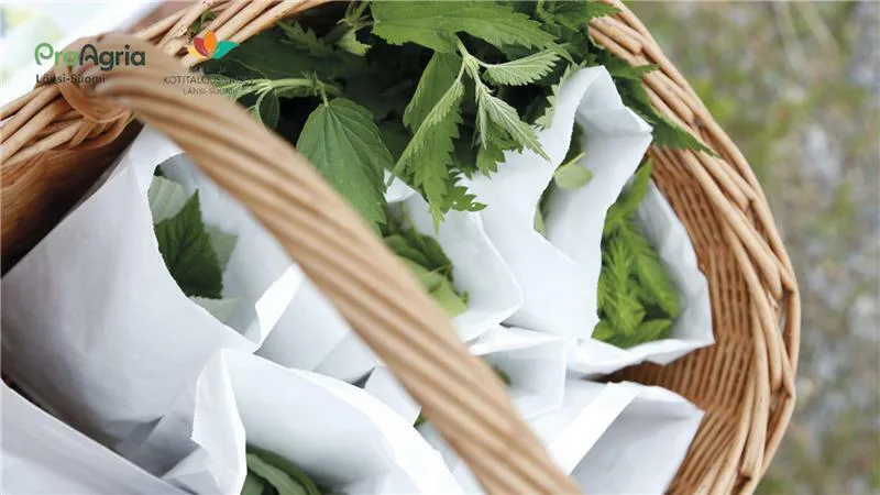 Dee98b38f3c3af4fd12a339cd60179af