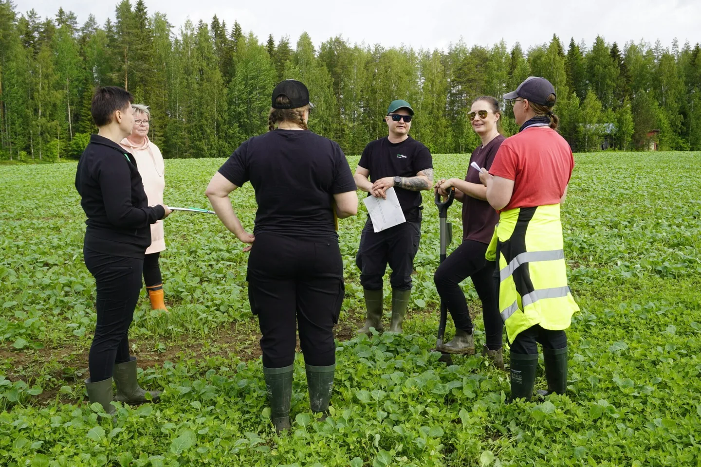 Df574e09105e1ef40bd50b67f3b8834c