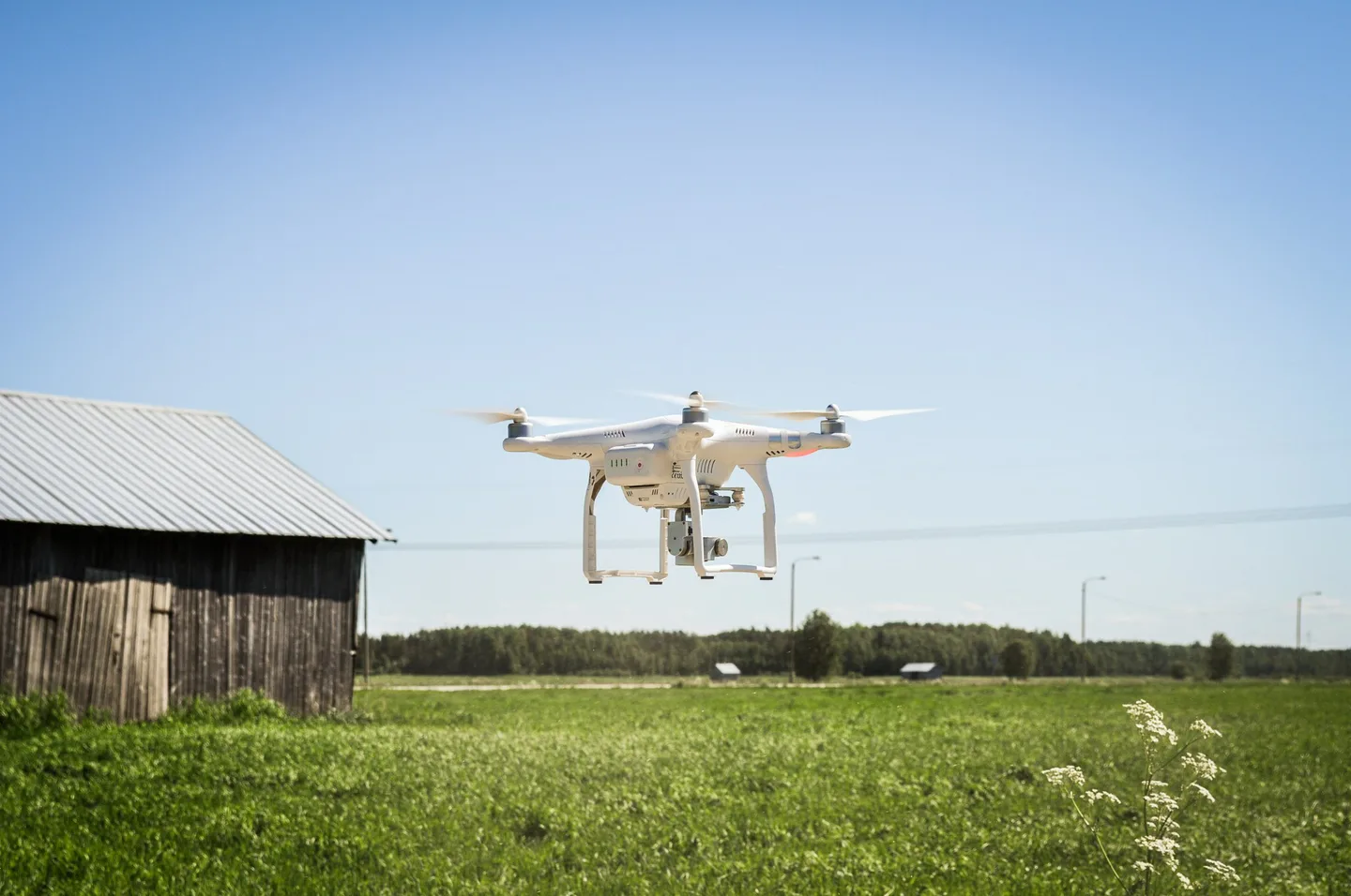 Kuva: Hannele Antila