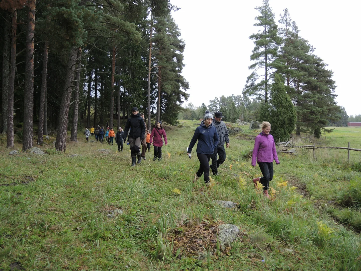 Luonnonlaidunpäivää vietettiin maastossa