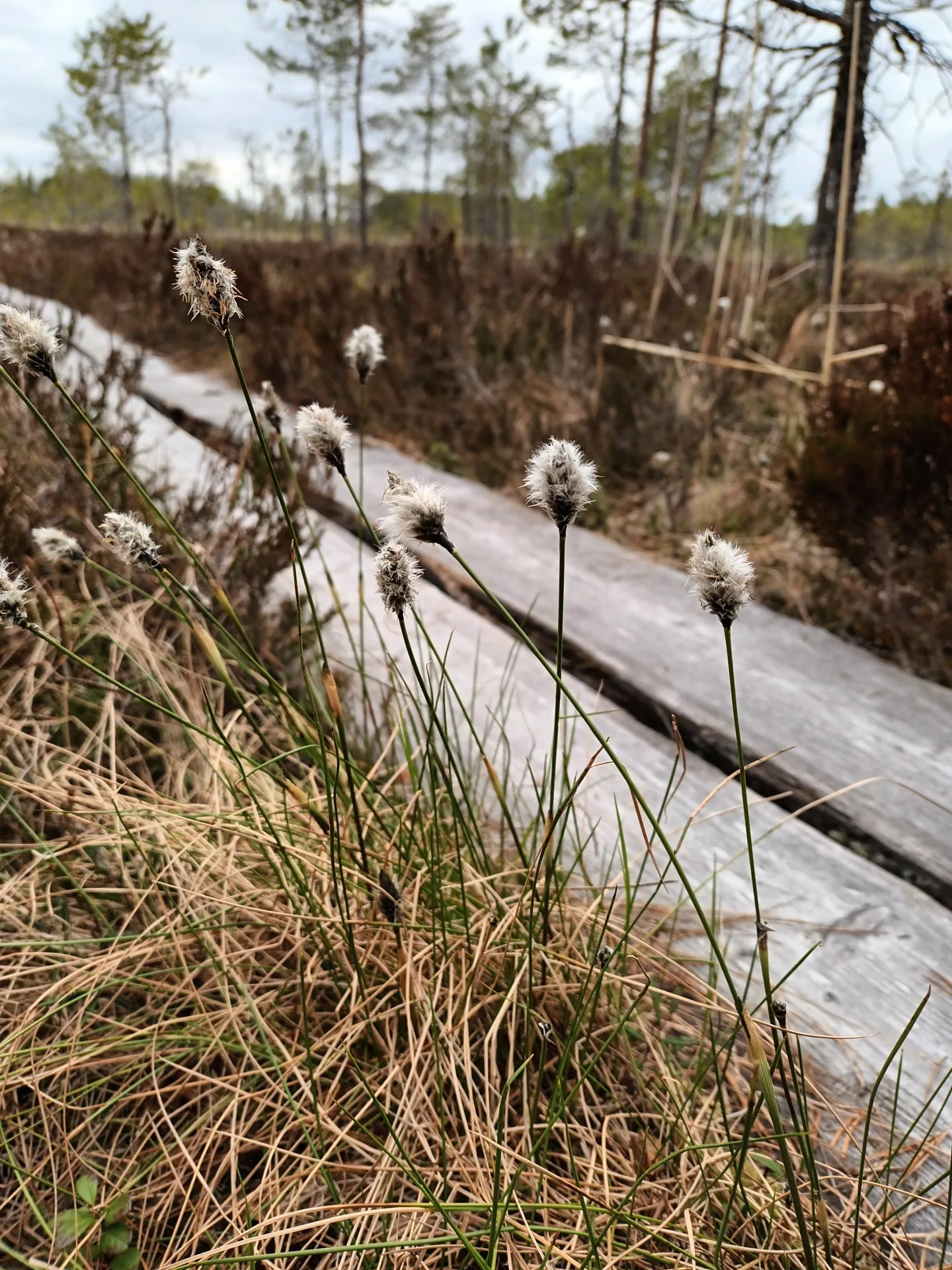 E77cfe7f76fc94d9f5d787e3c87ebe06