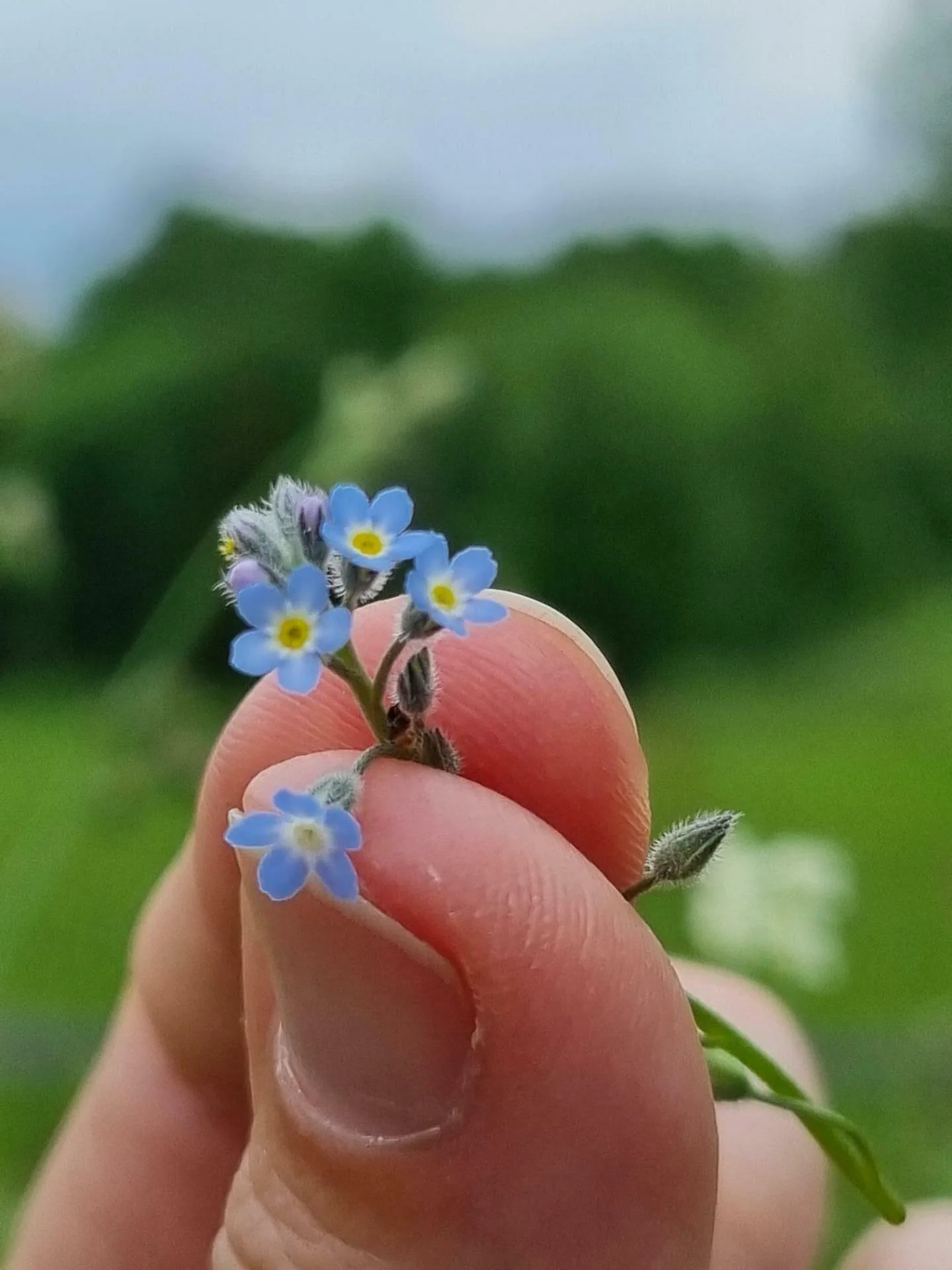 Edca033249432fbb9e0d492b19597782