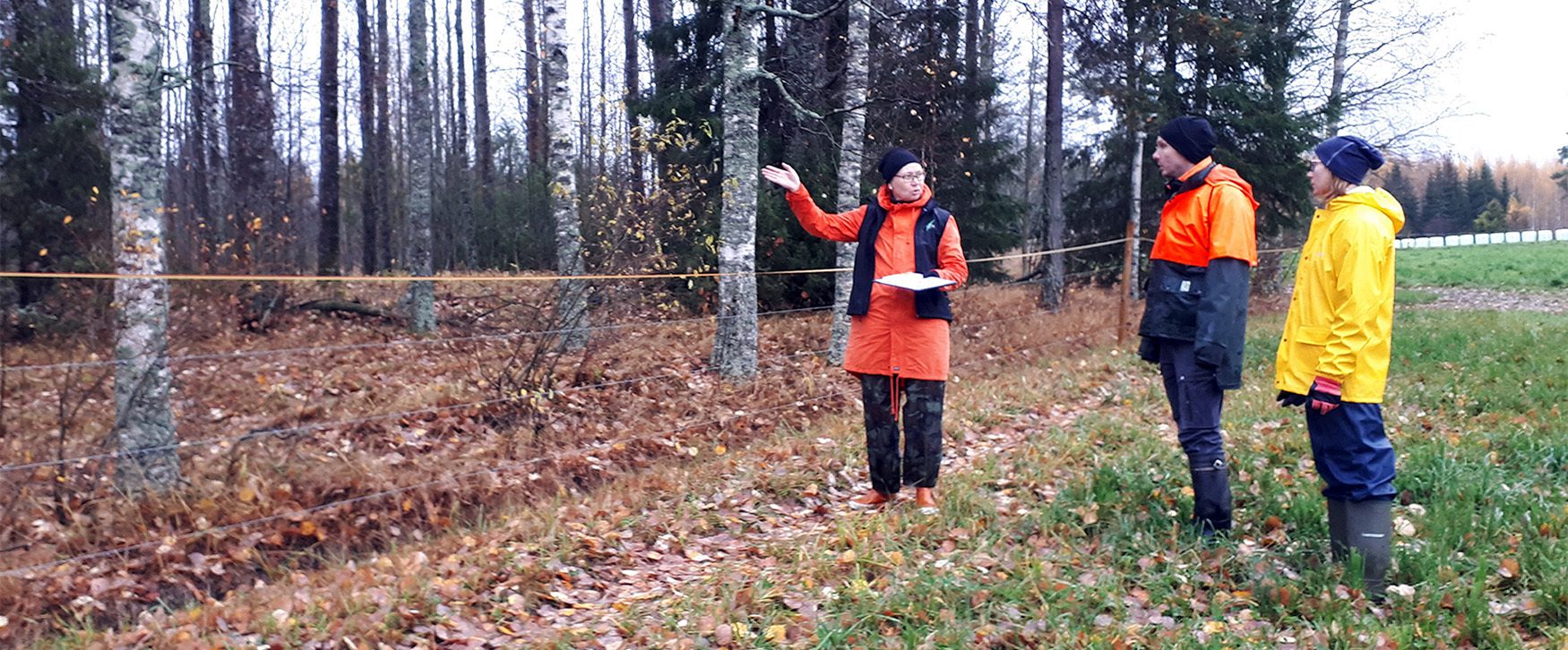 Ympäristo- ja maisema-asiantuntija perinnebiotooppikohteella asiakkaiden kanssa.