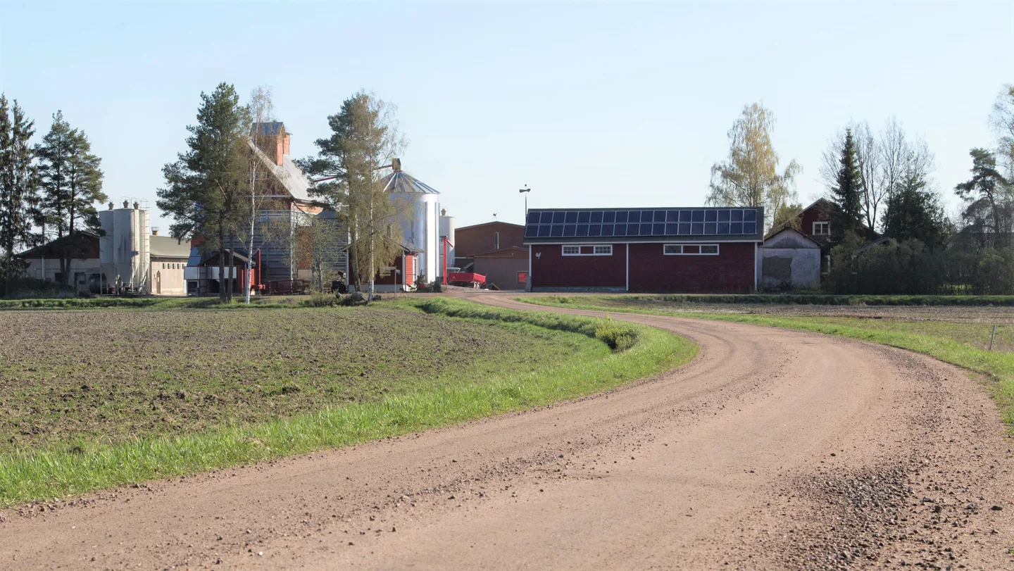 Essi jokela broileritila