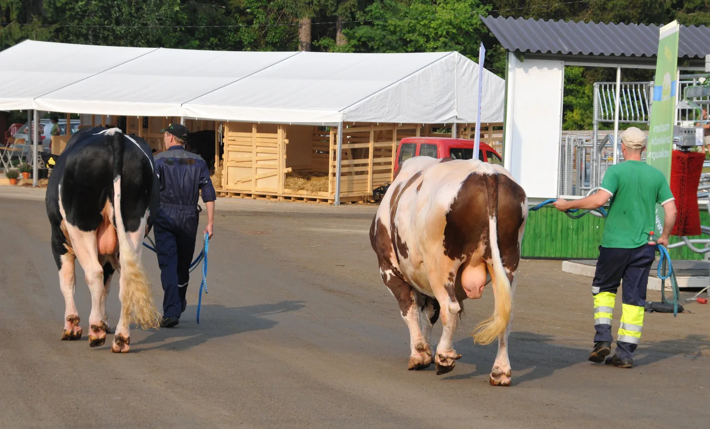 Farmari10 torstai 018 rajattu
