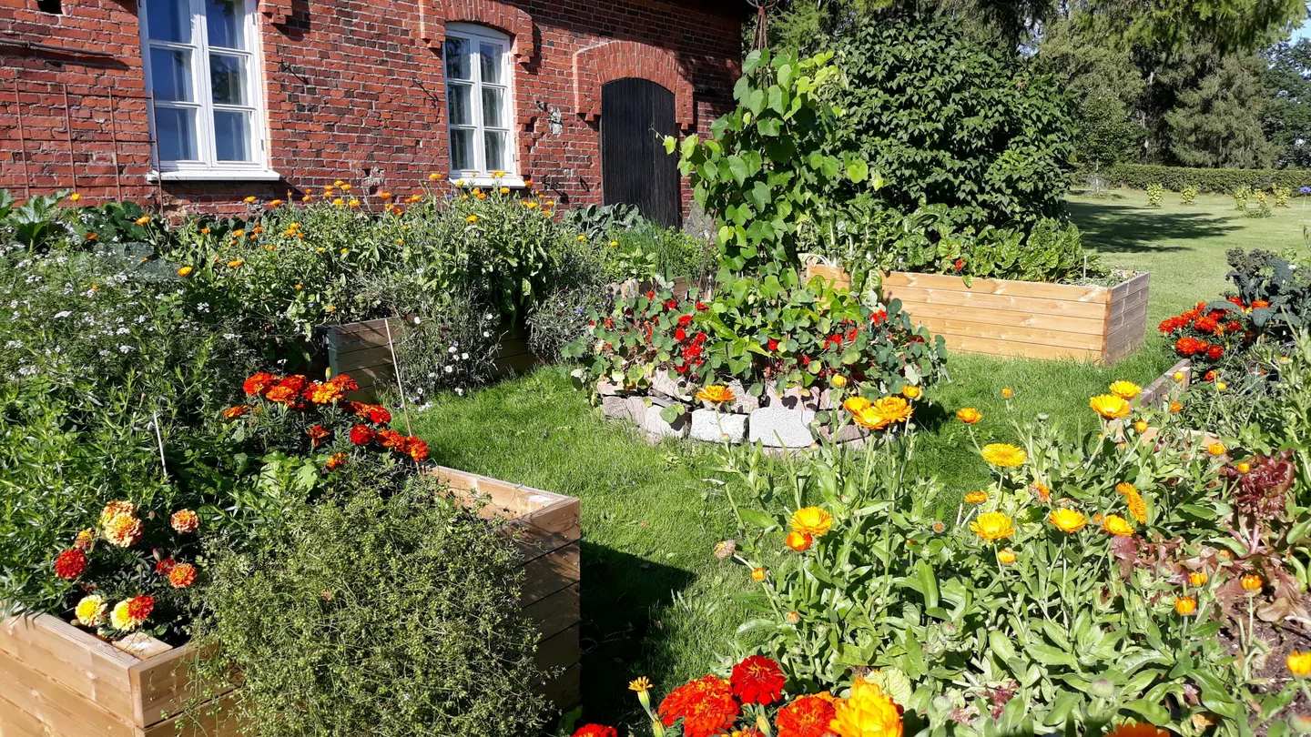 Hahkialan keittiopuutarha