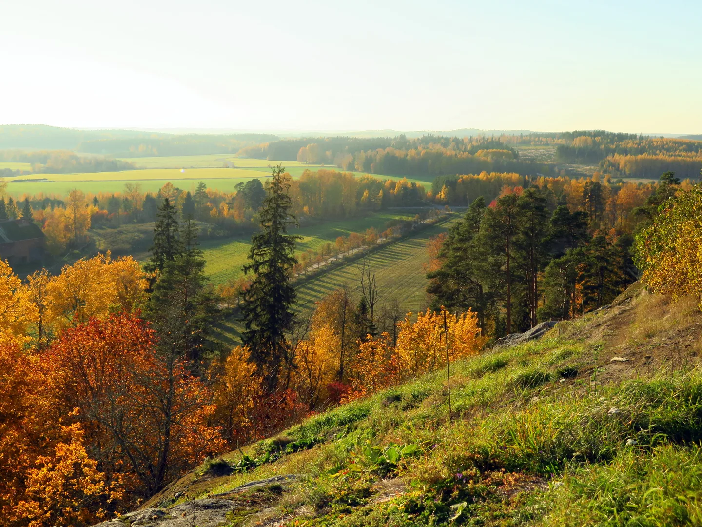 Janakkalan Hakoisten linnavuori. Kuva: Auli Hirvonen