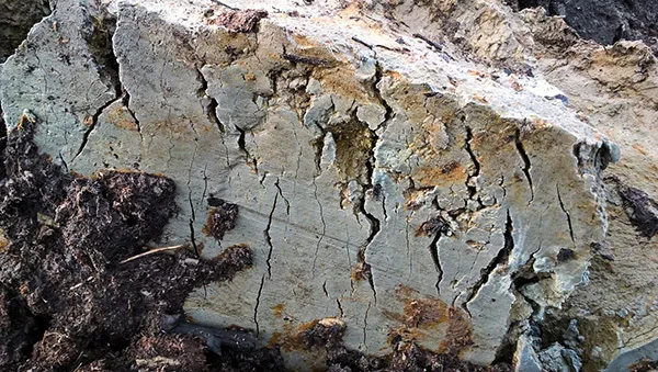 Happamat sulfaattimaat