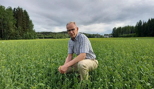 Heikki pahkasalo blogi 0