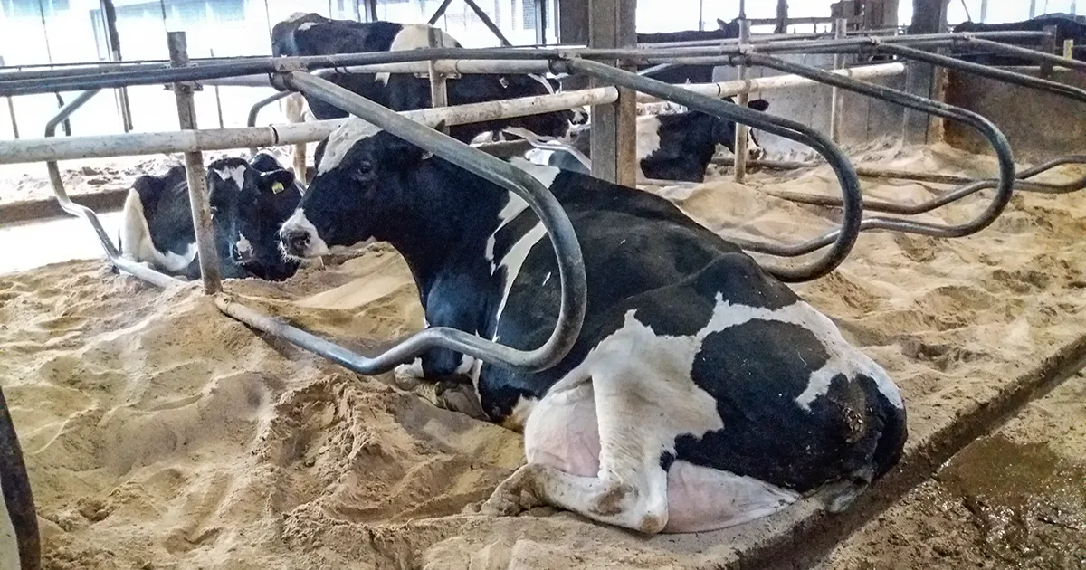 Hyvinvoiva tuotantoelain