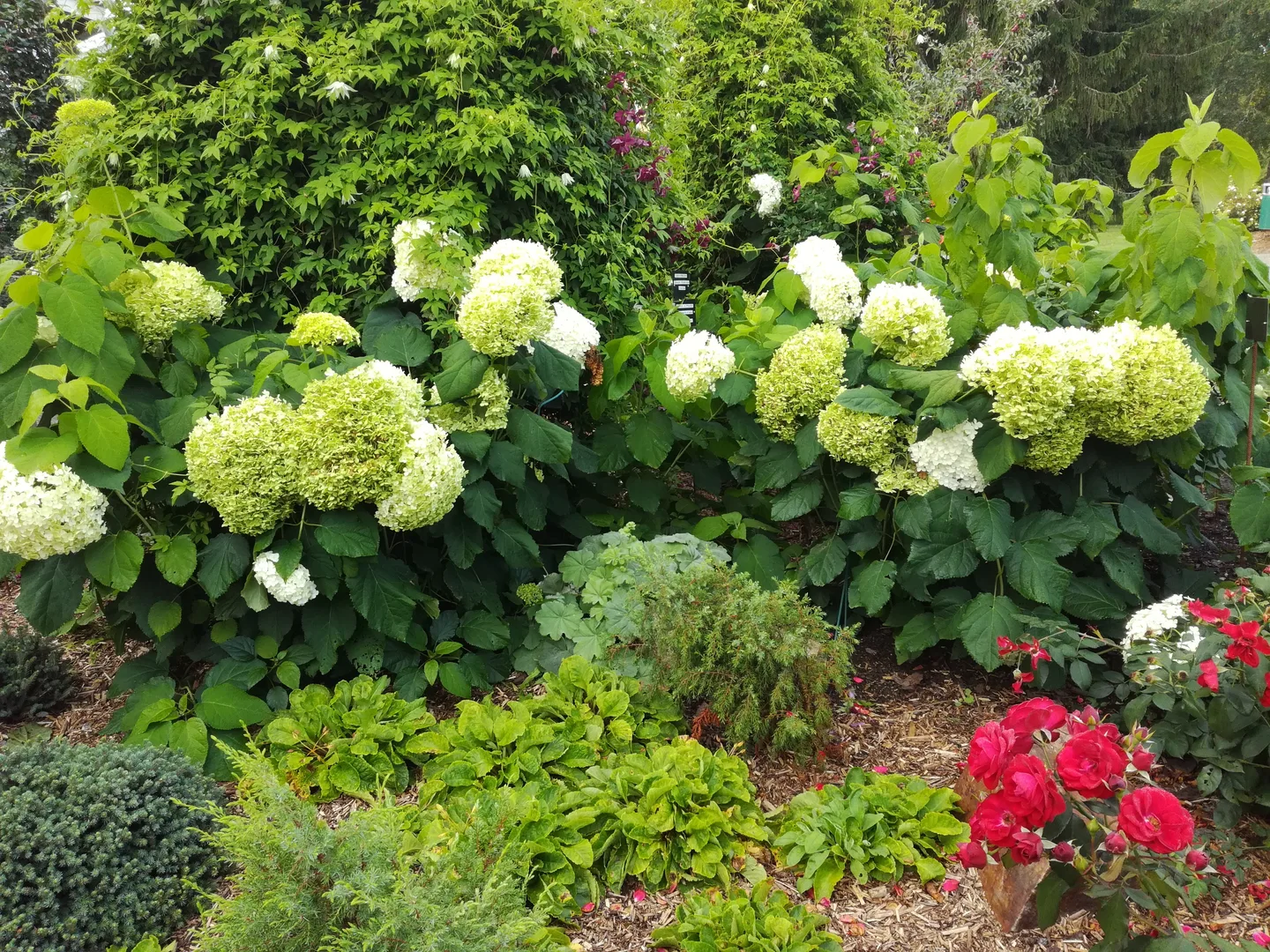 Img 20180826 093212 002