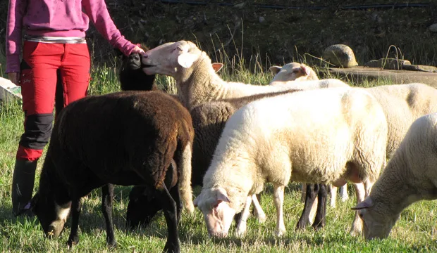 Kuva: Eriika Lindström