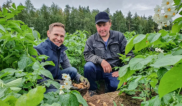 Juha Sohlon (vasemmalla) ja Juha Jankkilan yhteisenä haasteena on kokonaisvaltainen perunanviljelyn kehittämisohjelma, jonka tavoitteena on nostaa satotasoja, tehostaa tuotantoa ja viilata viljelymenetelmiä. Kuva: Ella Karttimo