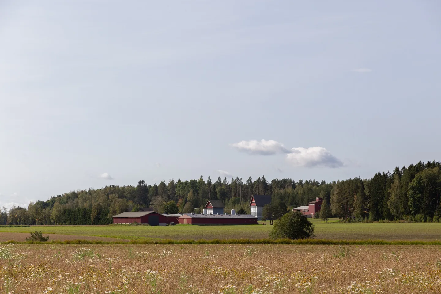 Jokela 229