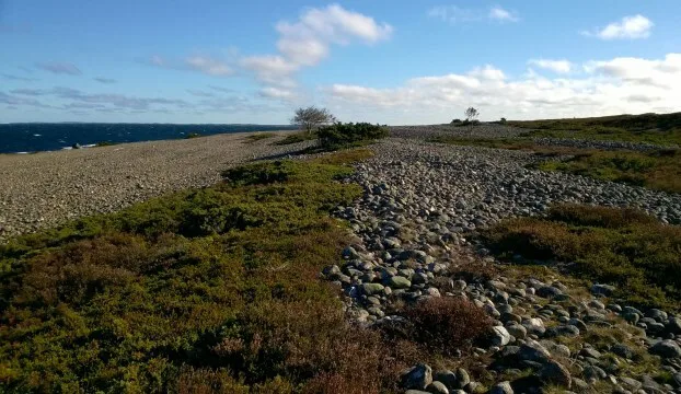 Kuvat: Riitta-Liisa Pettersson