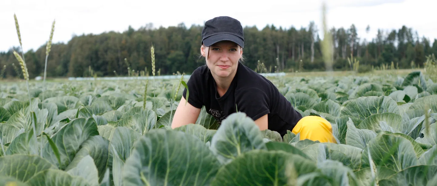 Kaalimaa yhteistyotiedote essijokela