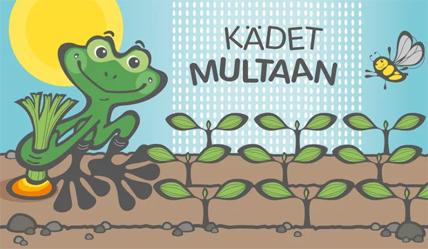 Kadet multaan netti 620x360px 1