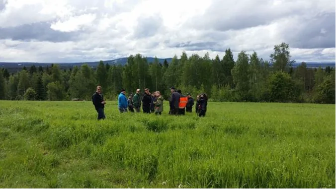 Kainuun nurmiryhmalaisia vaaramaisemissa