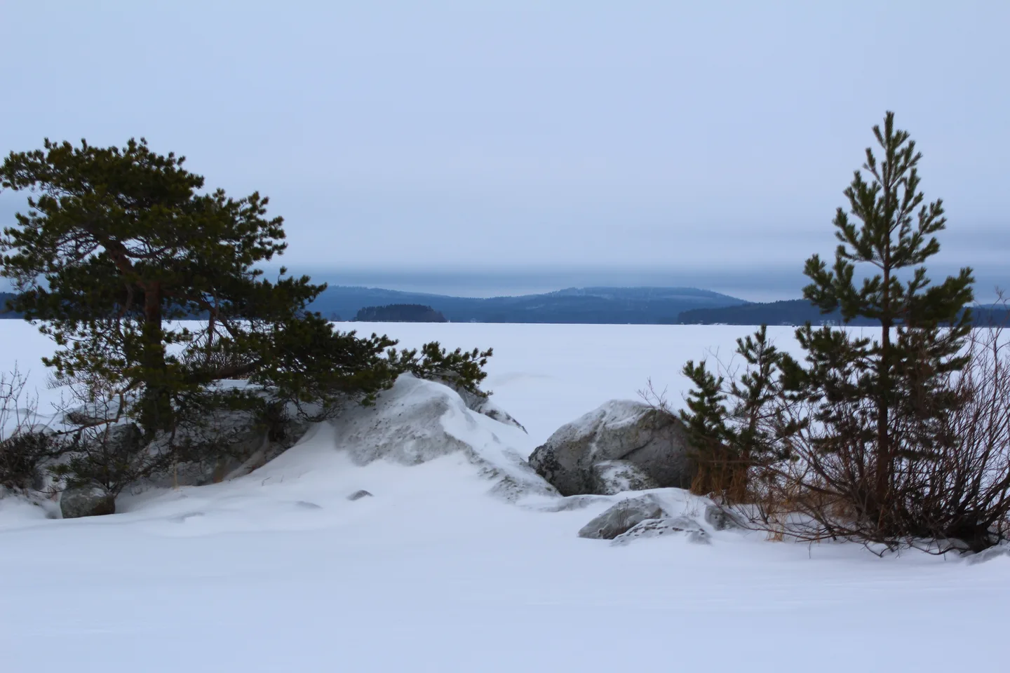 Kallavesi sinikkajokela 4