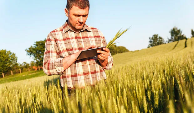 Kasvitulokset2019artikkeli